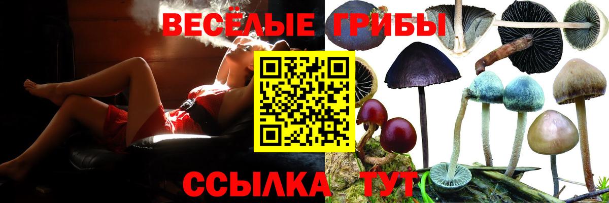 Галлюциногенные грибы MAGIC MUSHROOMS  Псилоцибиновые грибы Cubensis  Казань  Вход с VPN 